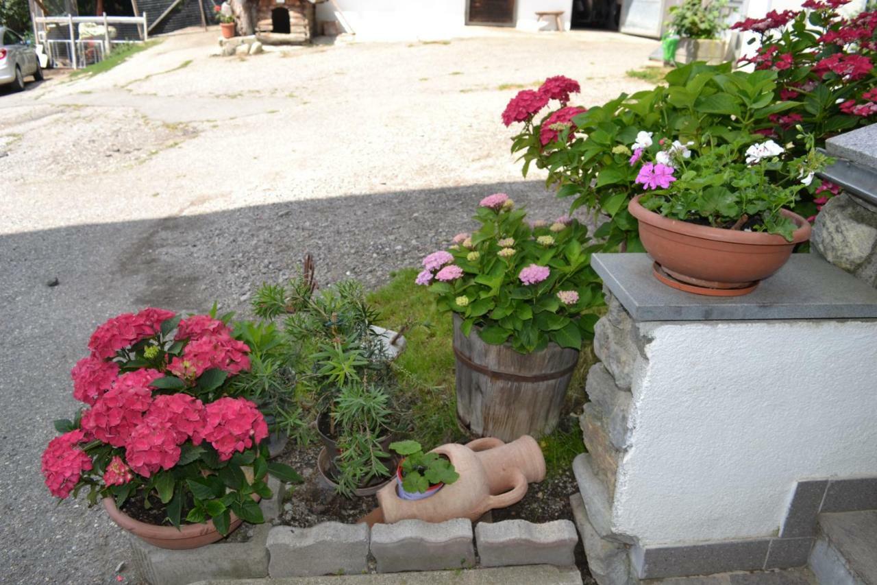 Gruberhof Διαμέρισμα Rodengo Εξωτερικό φωτογραφία
